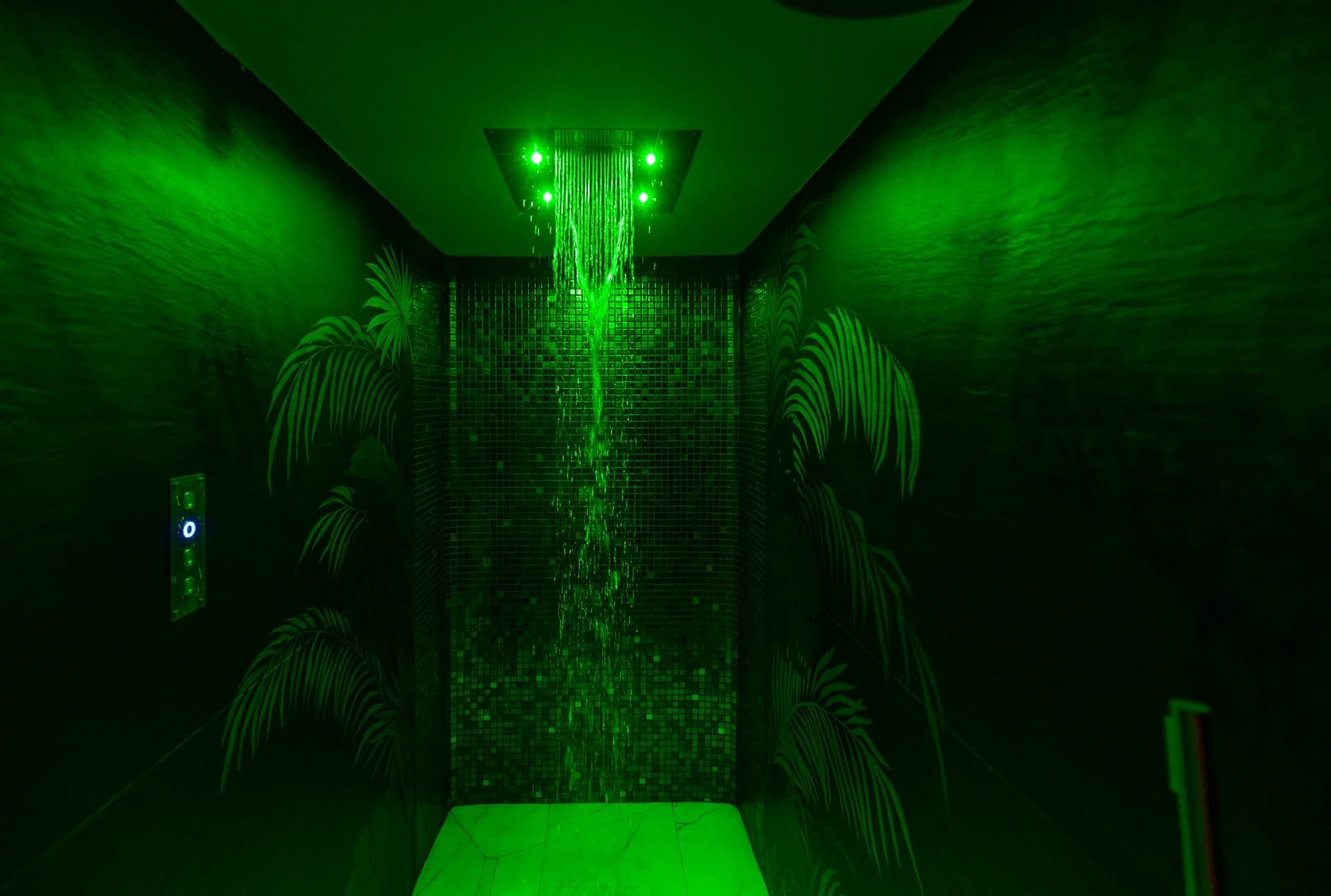 Spa & Wellness