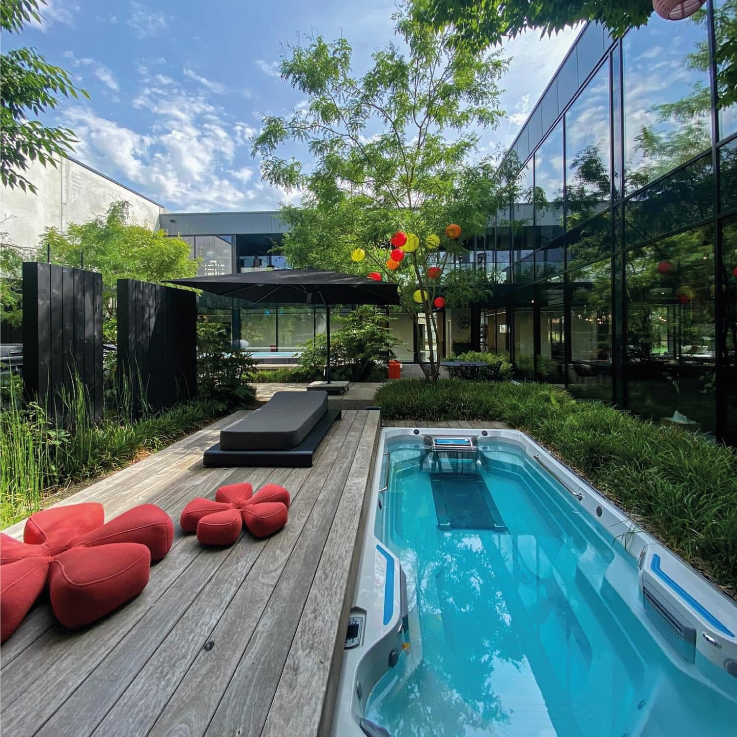 Swim Spa