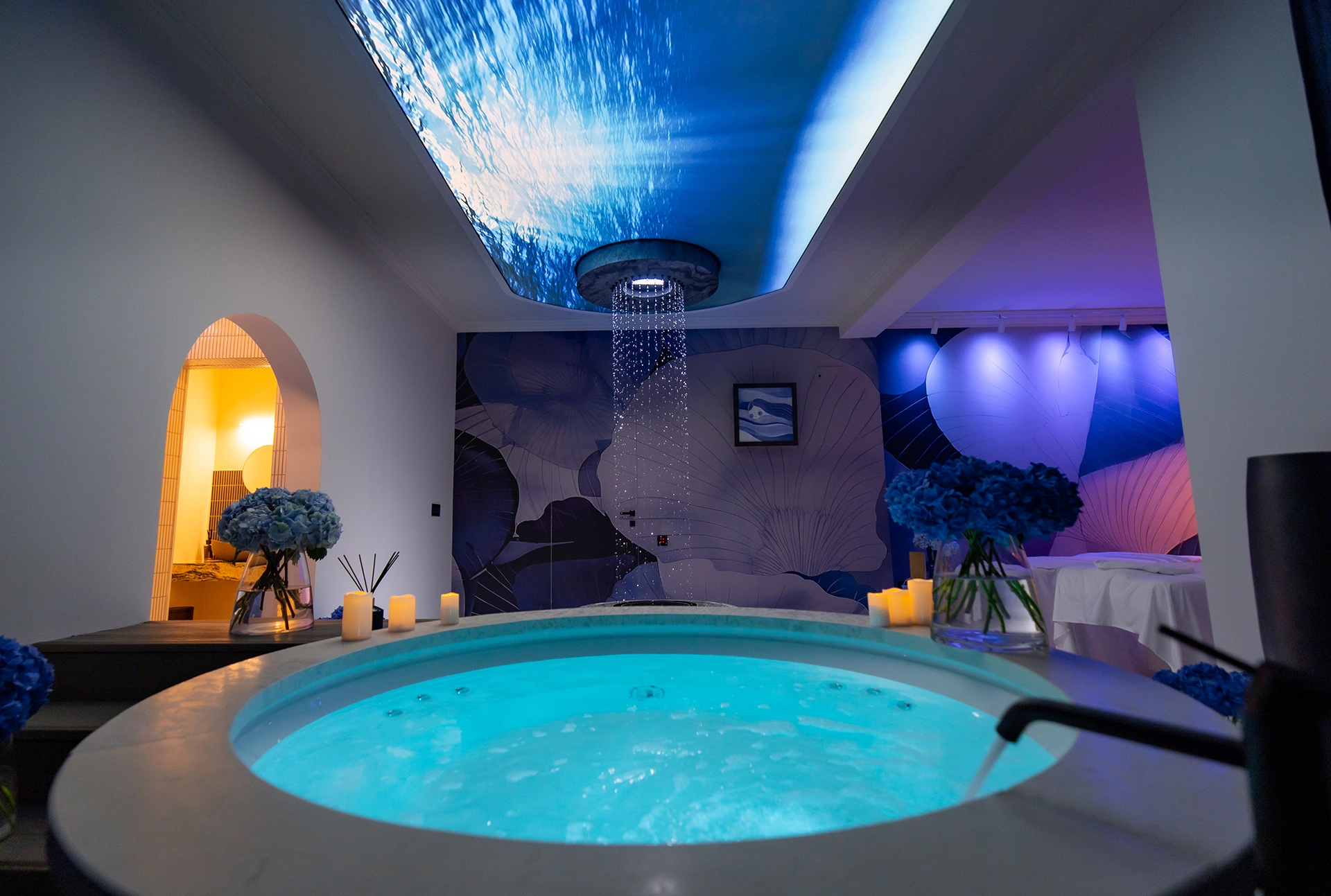 The Elements Luxury Boutique Spa – Proiect Hidrostyle în Pipera 7